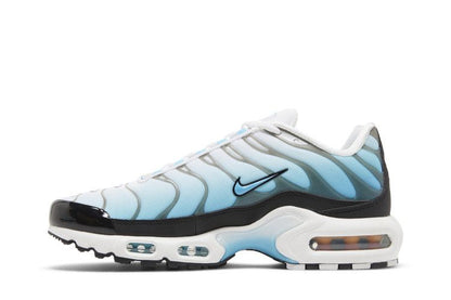 Nike Air Max Plus Baltic Blue - FD9751-100