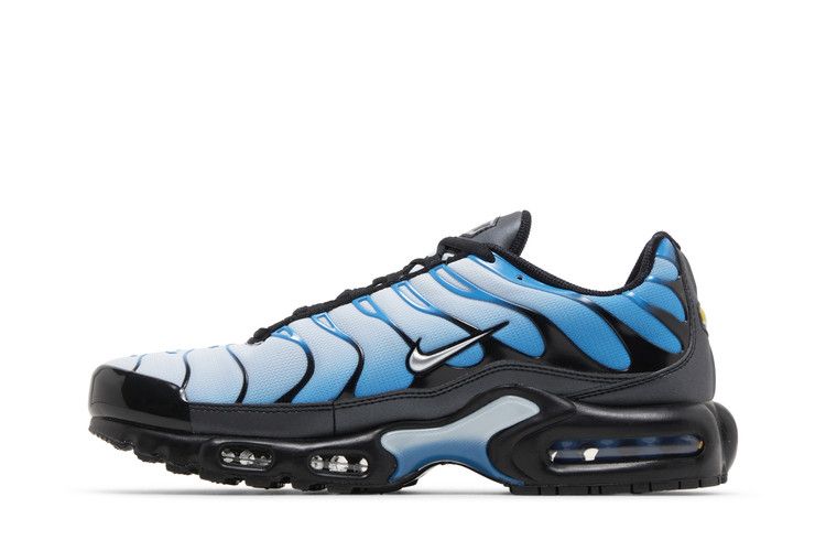 Nike Air Max Plus Blue Gradient - FQ0204-010