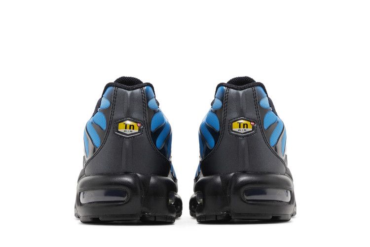 Nike Air Max Plus Blue Gradient - FQ0204-010