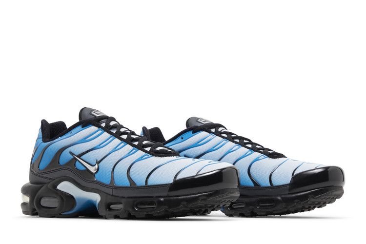 Nike Air Max Plus Blue Gradient - FQ0204-010