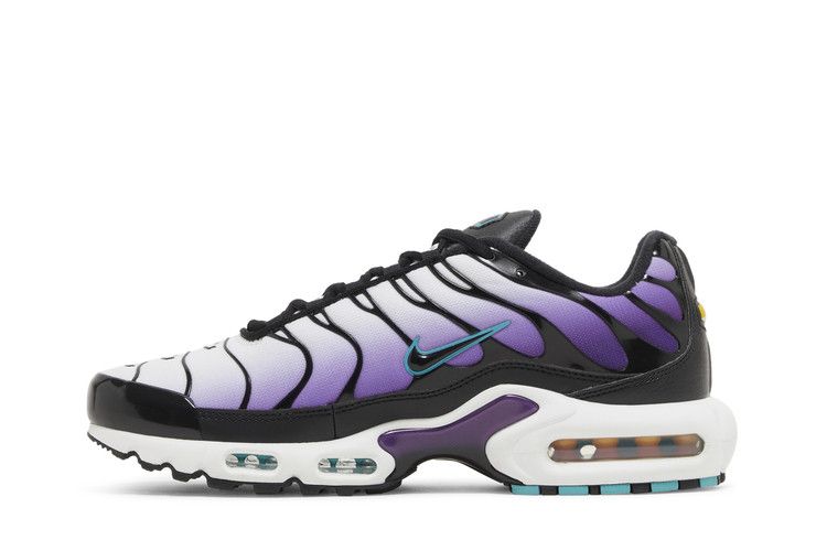 Nike Air Max Plus Reverse Grape - FQ2415-500