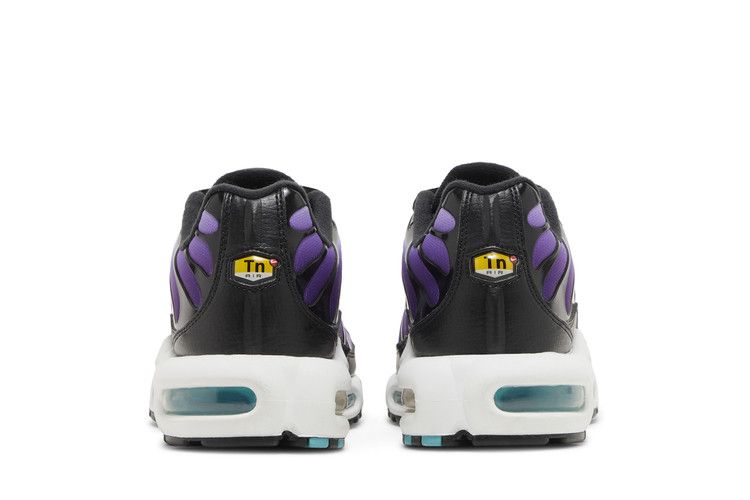 Nike Air Max Plus Reverse Grape - FQ2415-500