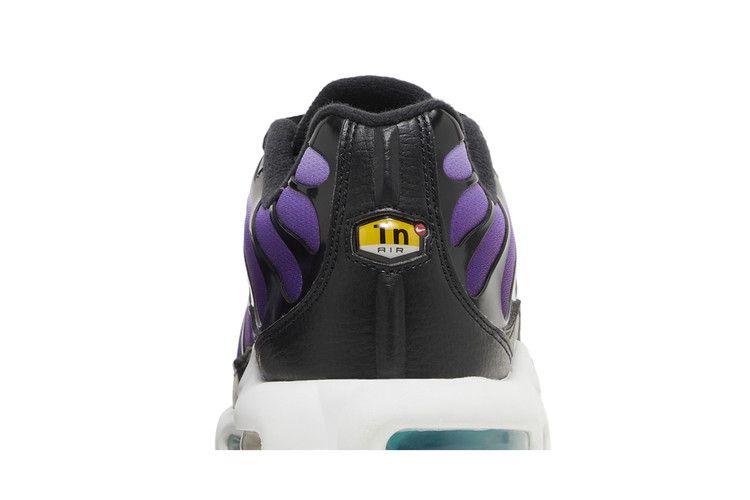 Nike Air Max Plus Reverse Grape - FQ2415-500