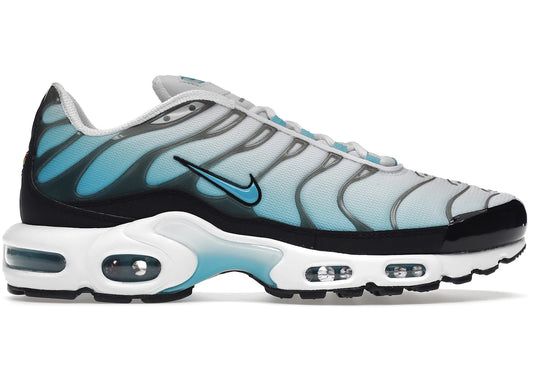 Nike Air Max Plus Baltic Blue - FD9751-100